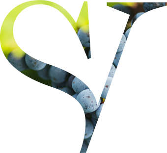 SV Logo